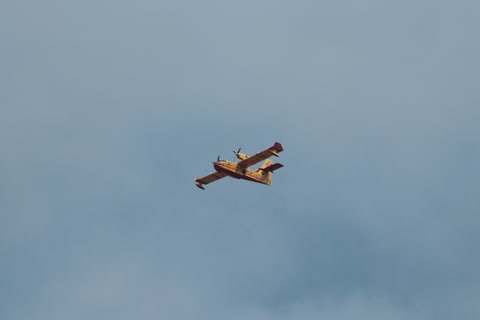 1000101507
